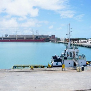 Terminais nos portos de Maceió e Areia Branca (RN) são leiloados