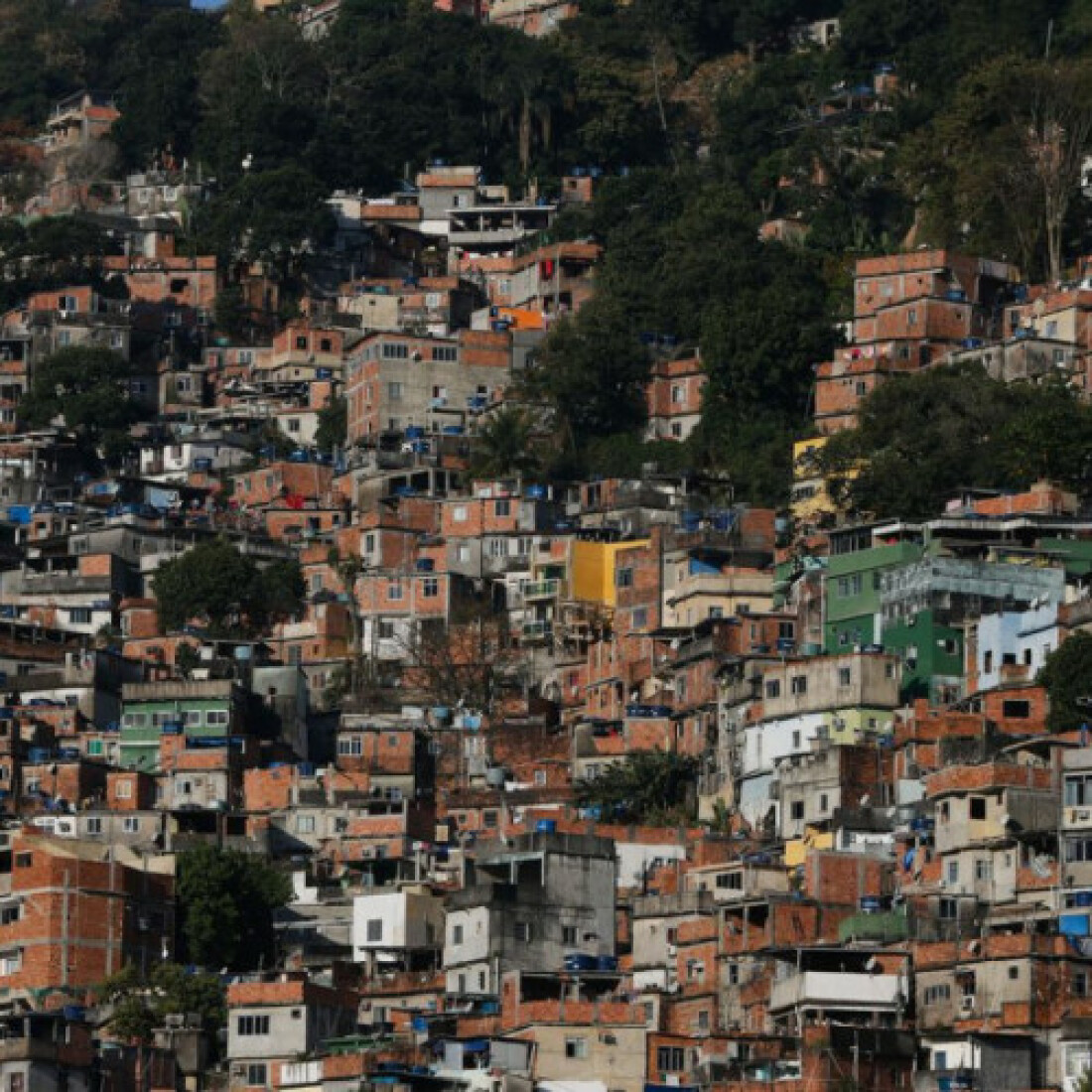 Dia da Favela: Cufa pede reflexão sobre potencial das comunidades