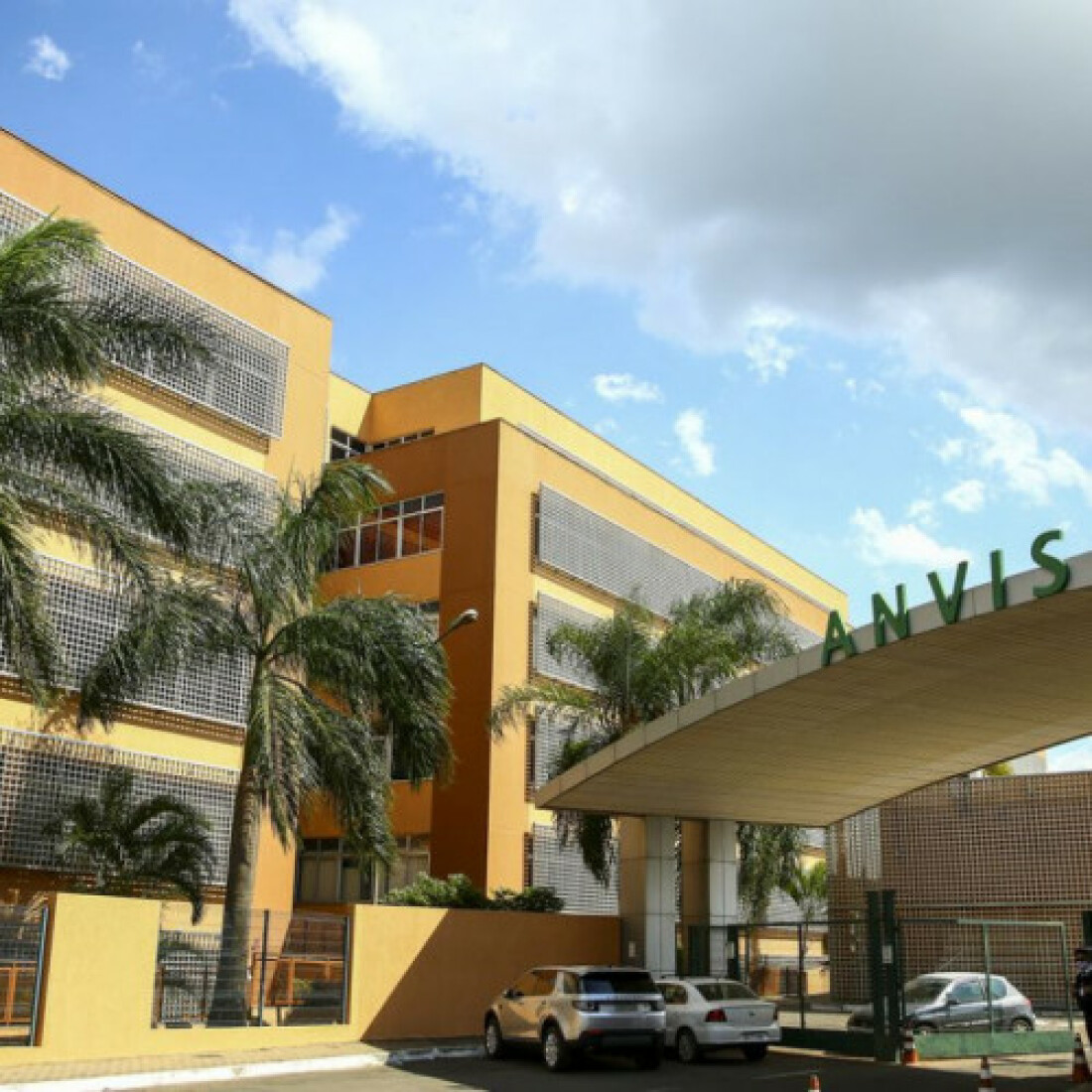 Anvisa libera dois produtos à base de cannabis para venda