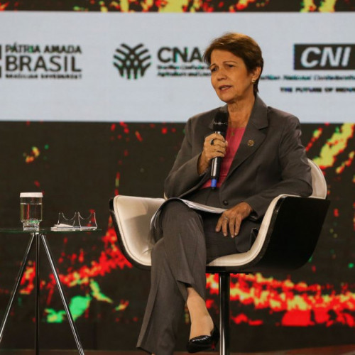 Agropecuária é parte da solução para mudanças climáticas, diz ministra