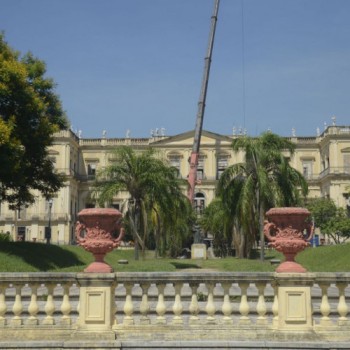 Museu Nacional recebe doação de moluscos do Museu de Coimbra