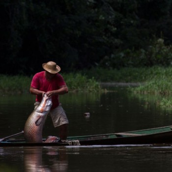 Exposição na COP26 volta olhar sobre povos que habitam a Amazônia