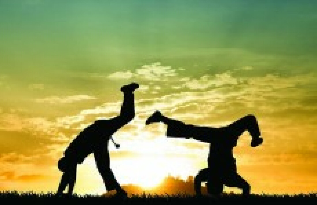 Dia do Capoeirista