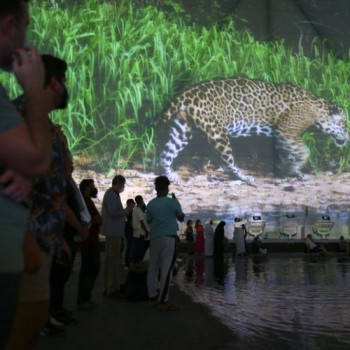 Pavilhão Brasil na Expo Dubai já recebeu 233 mil visitantes