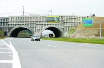 Trecho Leste do Rodoanel Mário Covas recebe 30 mil veículos por dia