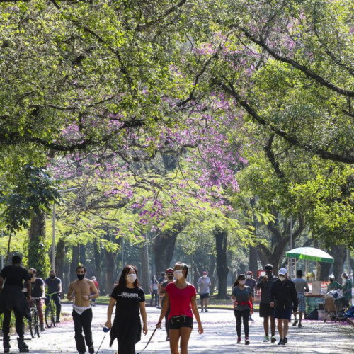 Feriado de Finados deve ter tempo ameno e chuvoso em São Paulo