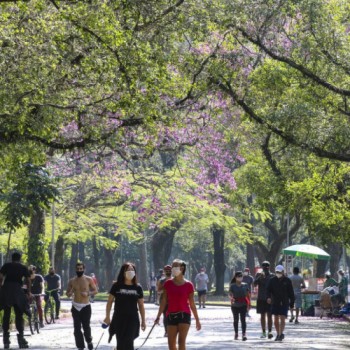 Feriado de Finados deve ter tempo ameno e chuvoso em São Paulo