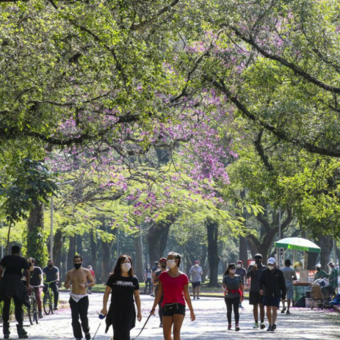 Feriado de Finados deve ter tempo ameno e chuvoso em São Paulo