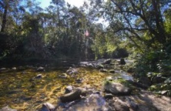Parque da Neblina propõe um dia de lazer e aventura