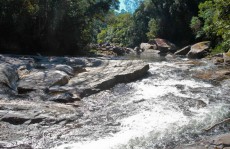 Espaço ecológico investe em programas e pesquisas