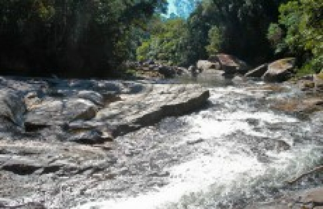 Espaço ecológico investe em programas e pesquisas