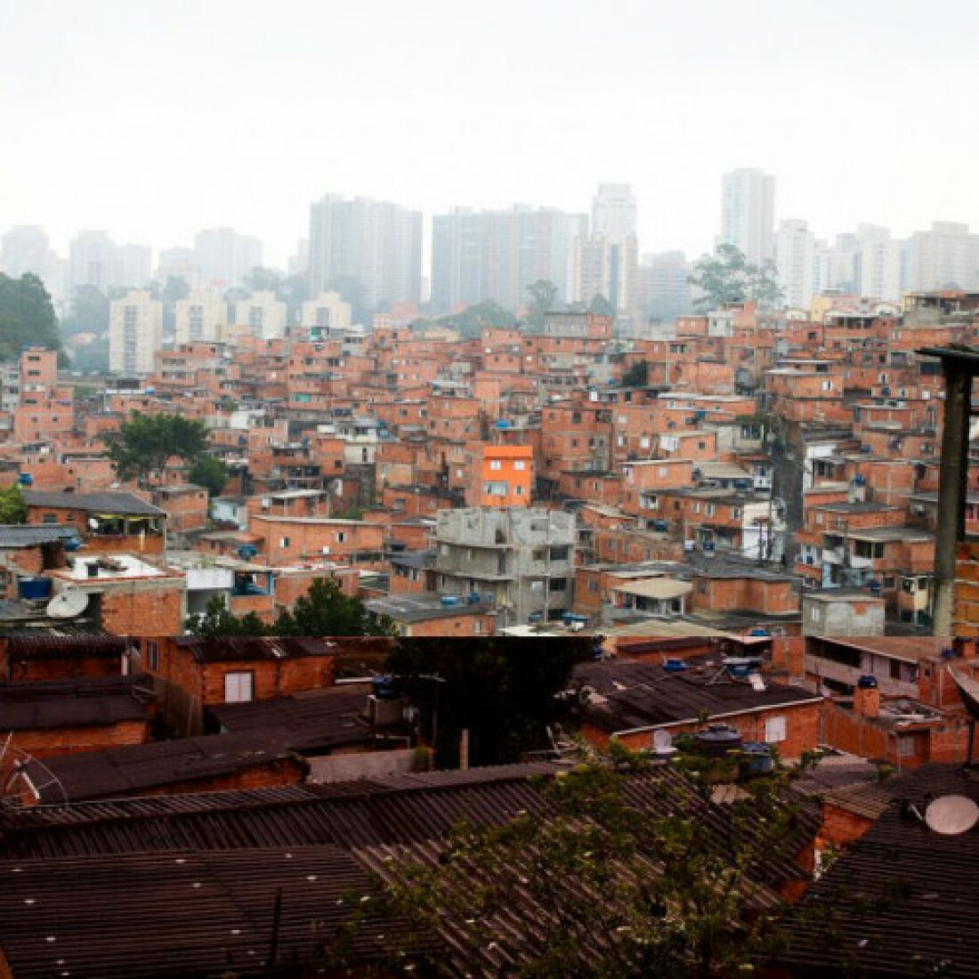 Ação em Paraisópolis oferece serviços de saúde gratuitos esta semana