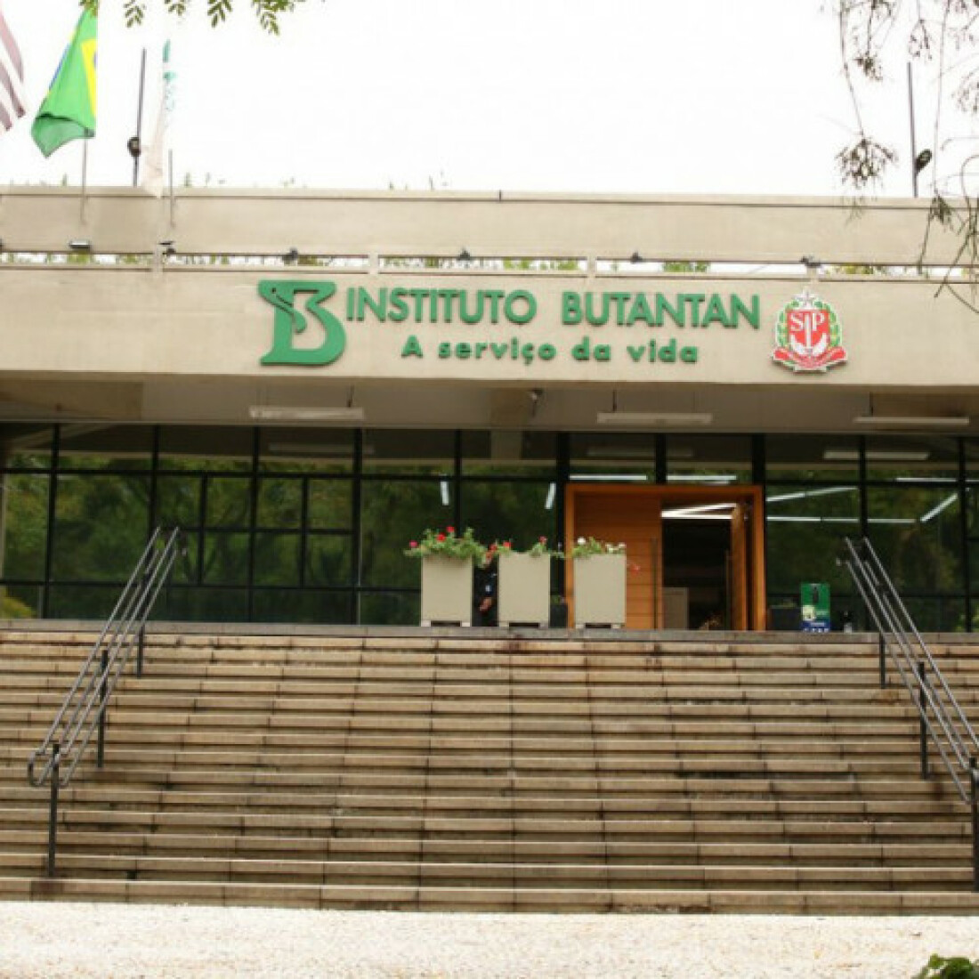 Butantan mostra a dinâmica de introdução do novo coronavírus no Brasil
