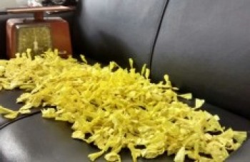 Tráfico de drogas lidera no ranking do Disque-Denúncia