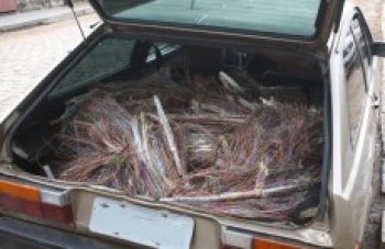 Câmara vai lutar contra furtos de fios