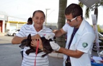 Campanha pretende imunizar até 165,5 mil animais contra a raiva