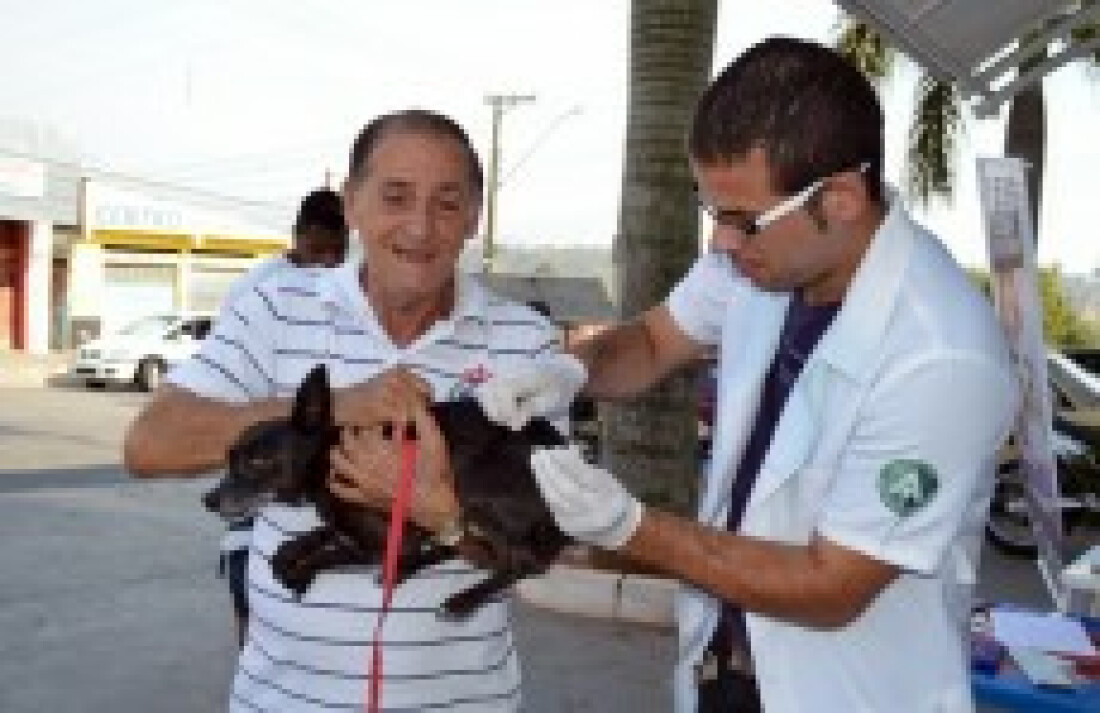 Campanha pretende imunizar até 165,5 mil animais contra a raiva