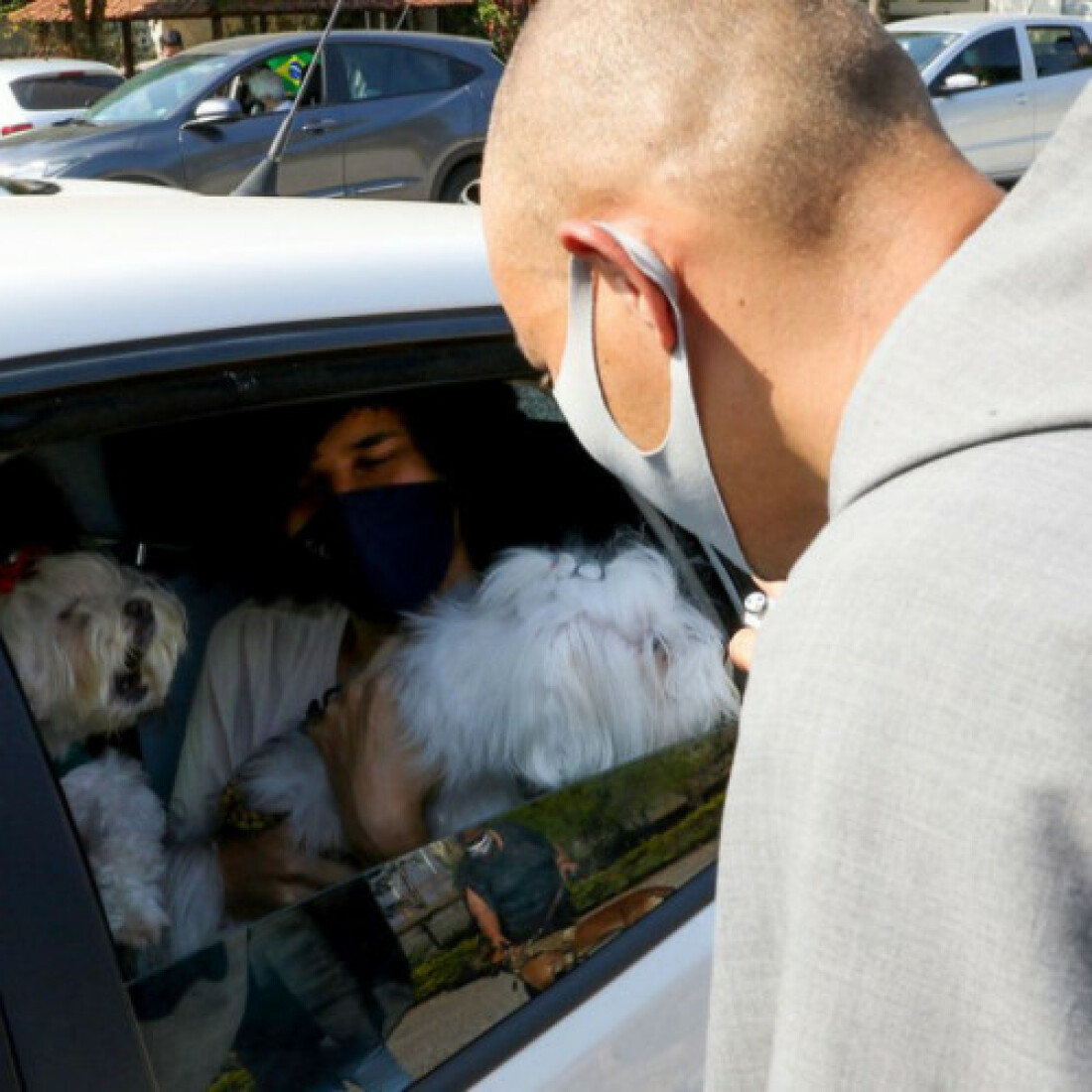 Latam suspende venda de transporte de pets no porão das aeronaves