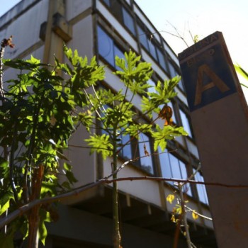 Universidade de Brasília coloca à venda 17 imóveis