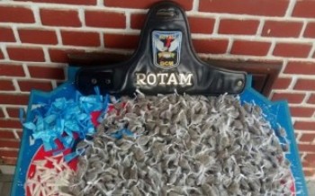 adolescente é flagrado com drogas: