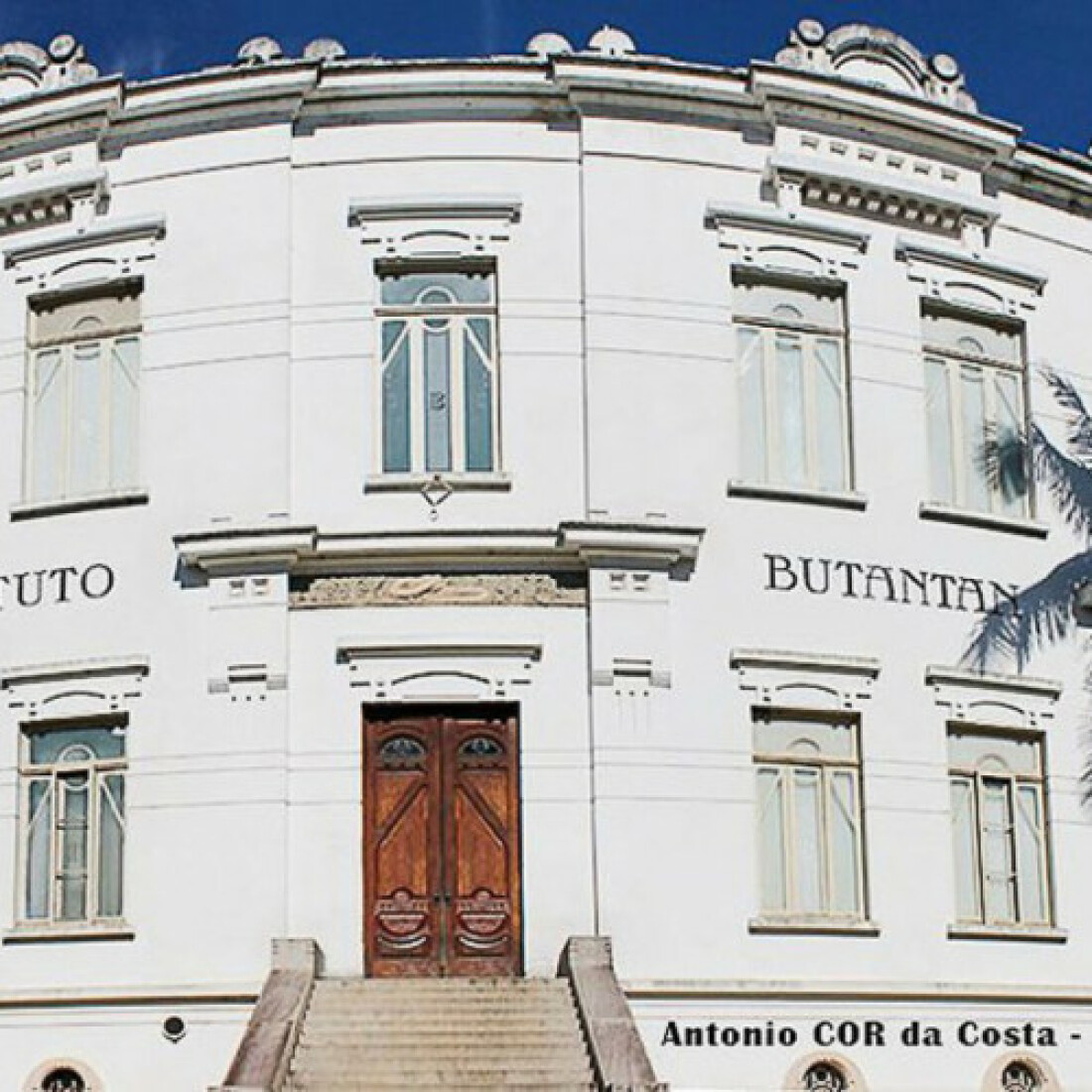 Butantan recebe autorização para iniciar testes de soro anti-covid