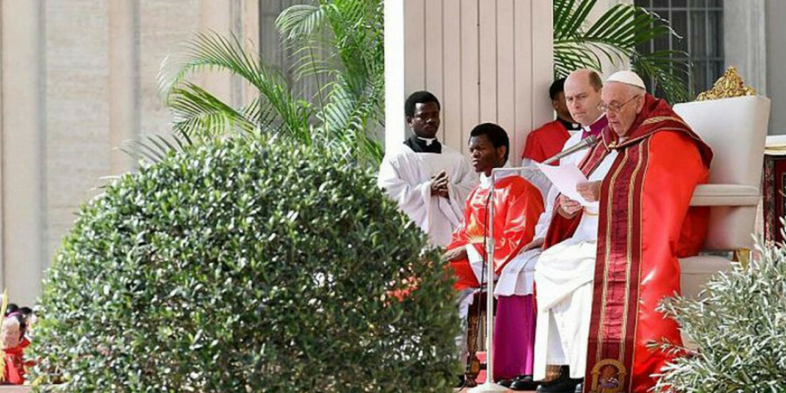 Papa celebra missa do Domingo de Ramos