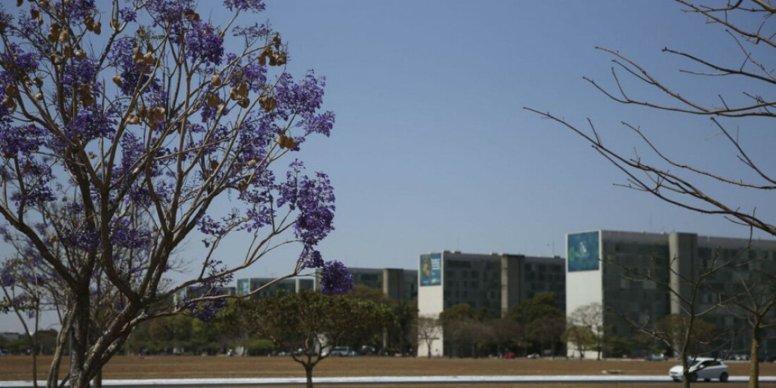 Participação feminina em cargos no governo federal mostra estagnação