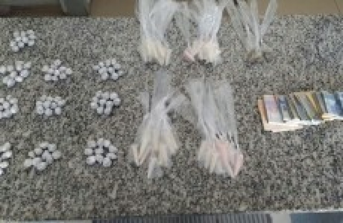 PM prende indivíduo em flagrante por tráfico de drogas: