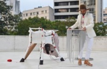 Performance vai explorar as linguagens artísticas