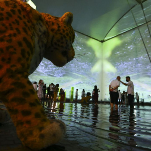 Pavilhão do Brasil recebeu 12 mil visitantes em três dias da Expo 2020