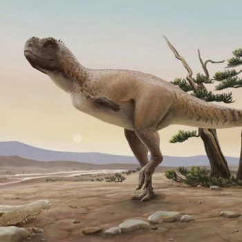 Nova espécie de dinossauro carnívoro é descoberta em São Paulo