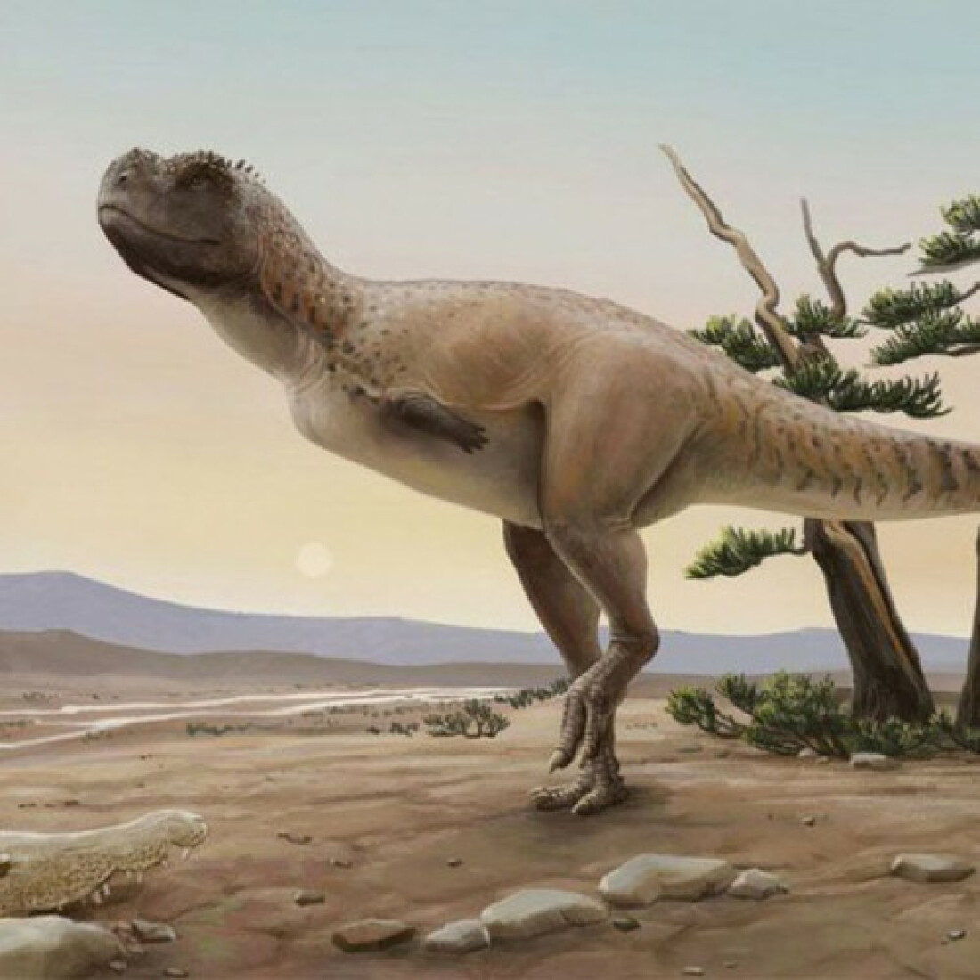 Nova espécie de dinossauro carnívoro é descoberta em São Paulo