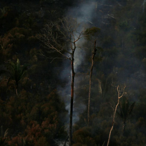Savanização da Amazônia e calor podem ser fatais para saúde humana
