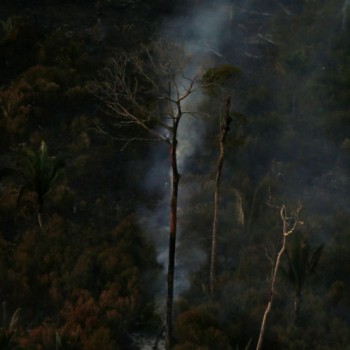 Savanização da Amazônia e calor podem ser fatais para saúde humana
