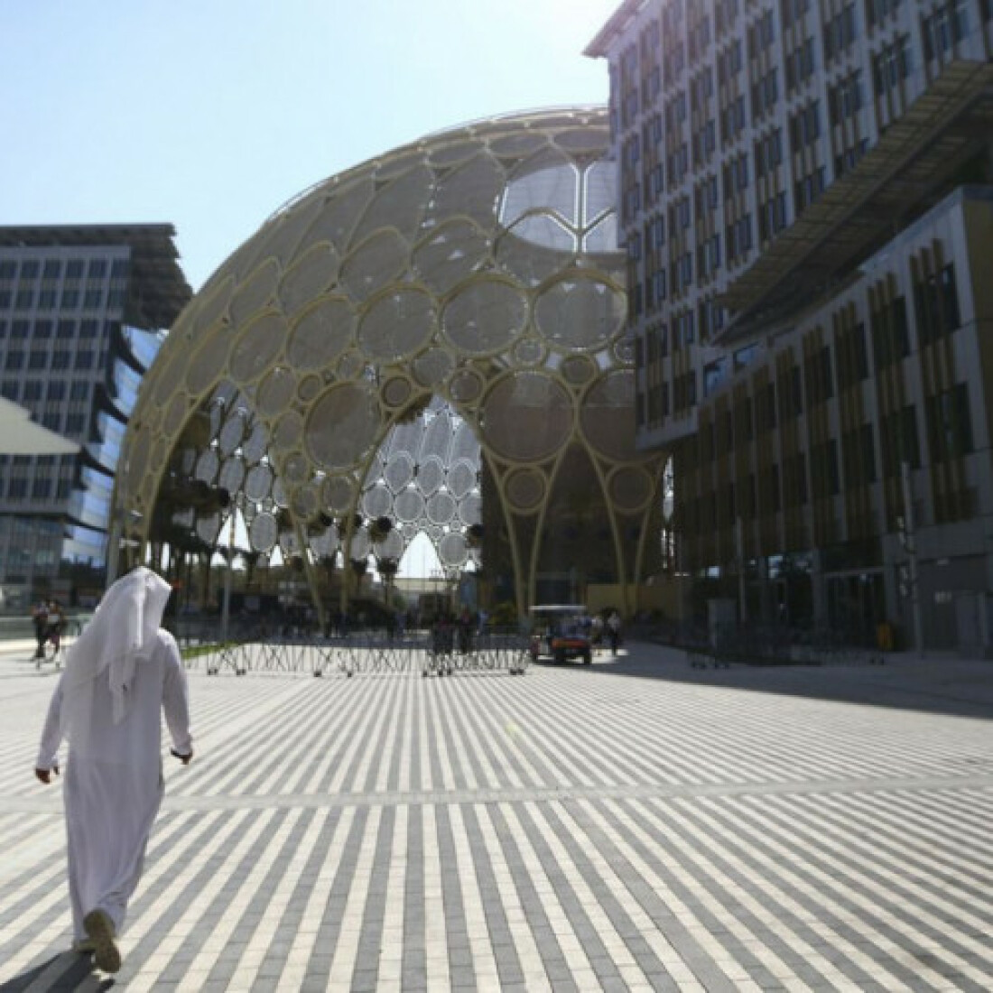 Dubai: Brasil divulgará oportunidades de uso sustentável da Amazônia