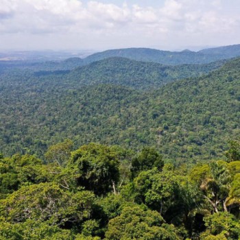 Governo cria Cédula de Produto Rural Verde