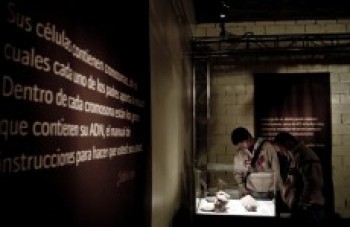 Mogi Shopping recebe nova mostra