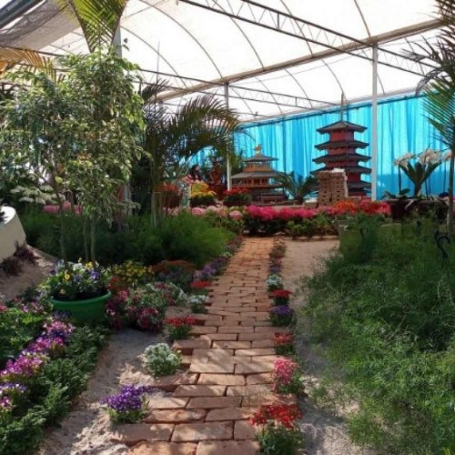 Feira de exposição e vendas de flores começa hoje em Arujá