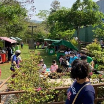 Visita à Ilha Marabá é opção de lazer e educação ambiental