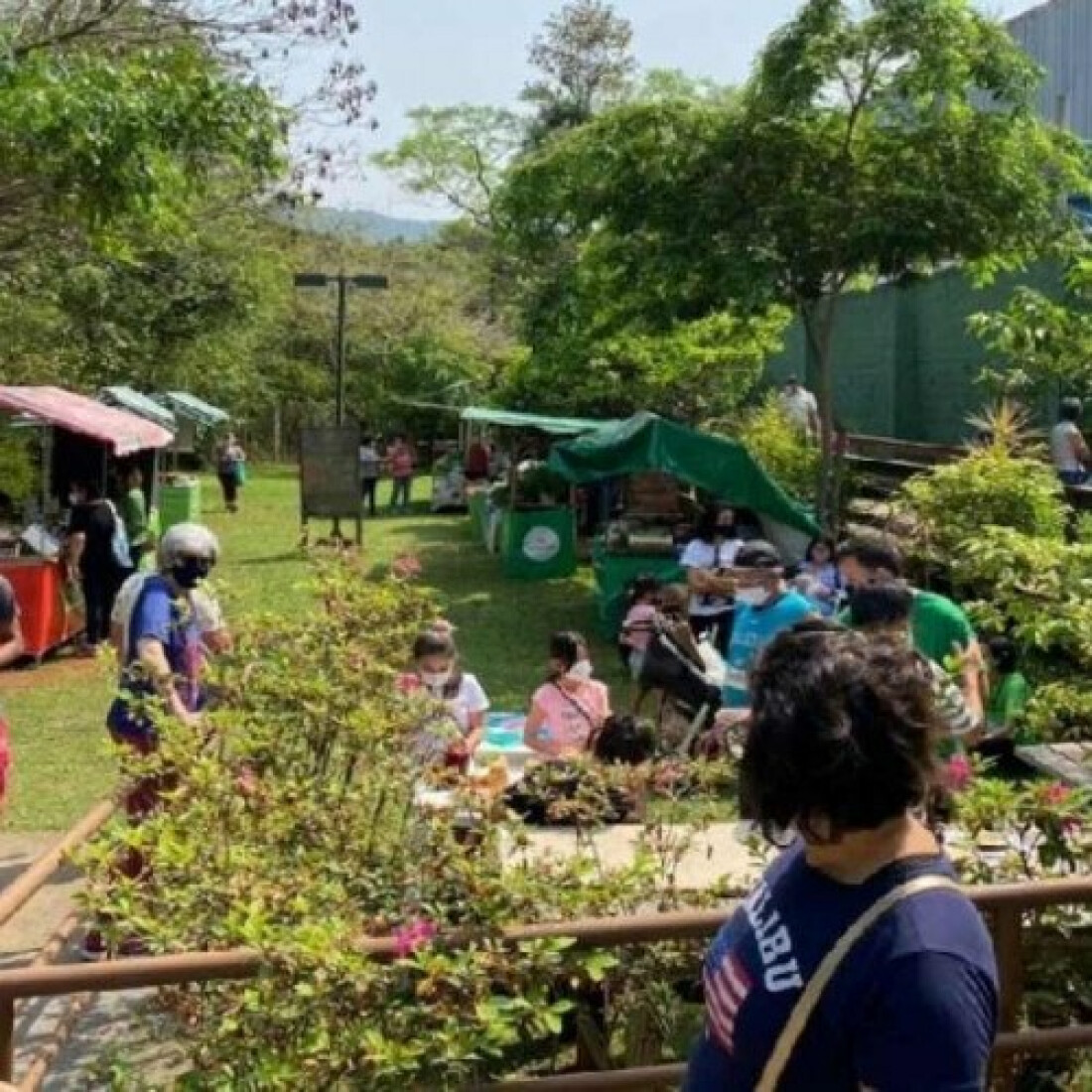 Visita à Ilha Marabá é opção de lazer e educação ambiental