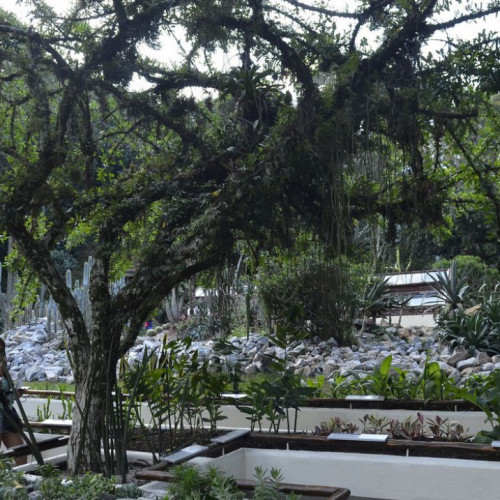 Jardim Botânico do Rio terá visita noturna a partir de outubro