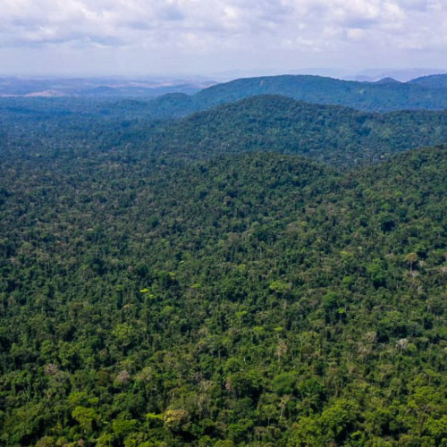 Unesco e Amazonas lançam plano de ação para Amazônia Central