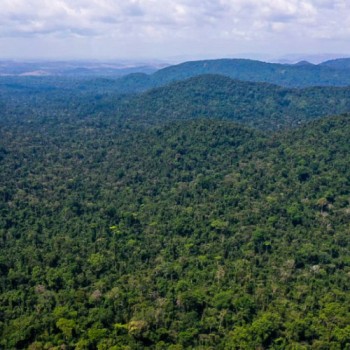 Unesco e Amazonas lançam plano de ação para Amazônia Central