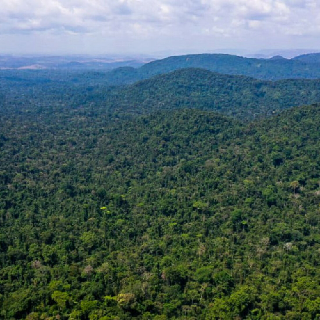 Unesco e Amazonas lançam plano de ação para Amazônia Central