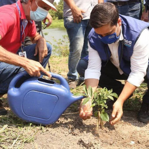 Estado do Rio de Janeiro tem ações em comemoração ao Dia da Árvore