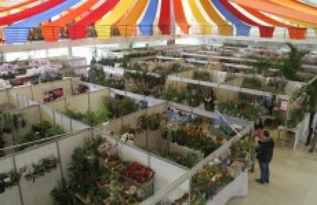 Lançamento da Expoá deve ocorrer no dia 18