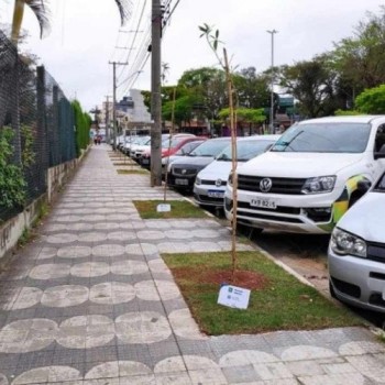 UMC e Secretaria do Verde promovem plantio de mudas