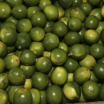 Governo vai investir R$ 34 milhões em fruticultura no DF e Entorno
