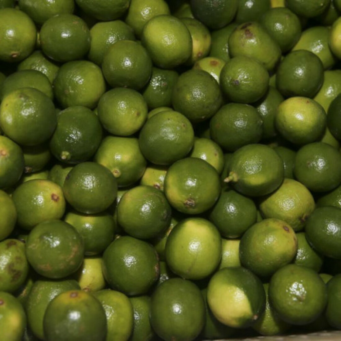 Governo vai investir R$ 34 milhões em fruticultura no DF e Entorno