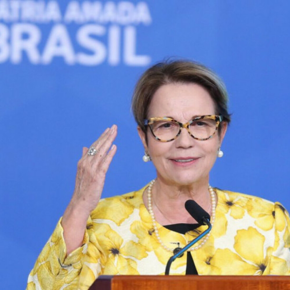 Ministra diz que ciência deve ser acessível a todos os países